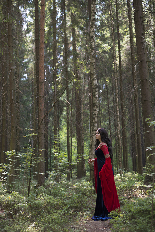 Lord of the Rings - Arwen Cosplay - anime character costume photo