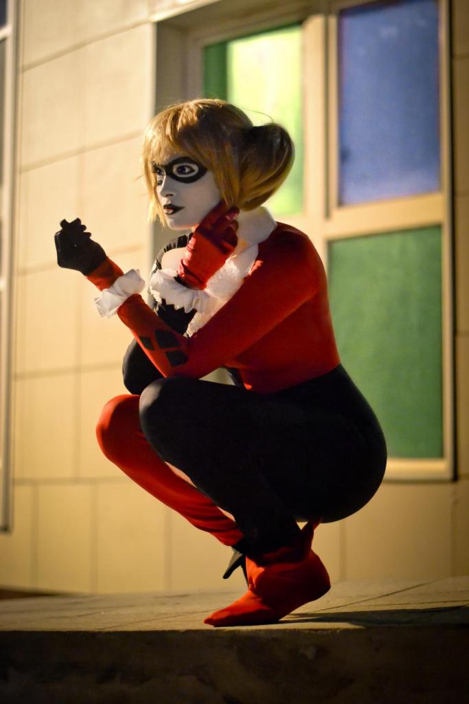 Batman - Harley Quinn Cosplay - full body character photo Batman - Harley Quinn Cosplay - full body character photo