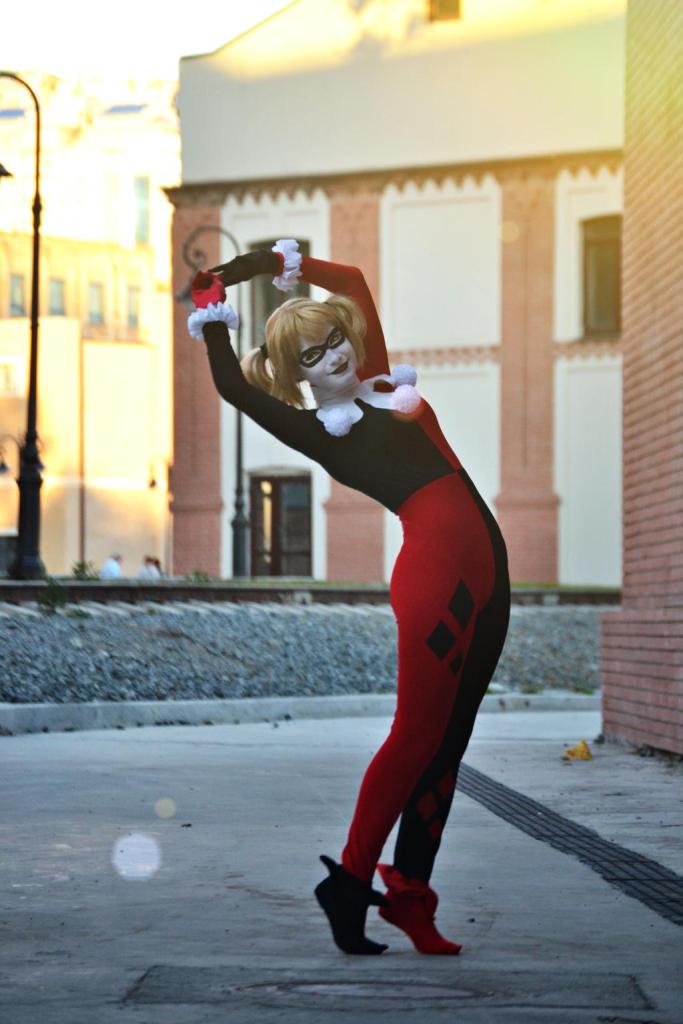 Batman - Harley Quinn Cosplay - character costume portrait Batman - Harley Quinn Cosplay - character costume portrait