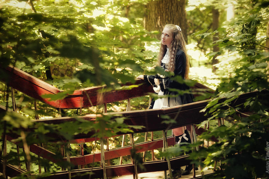 wonderland original vision cosplay 04