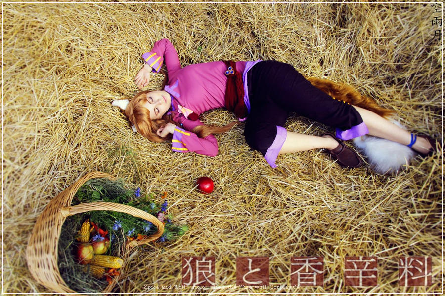 spice and wolf e28093 holo e28093 holo the wise wolf cosplay 04