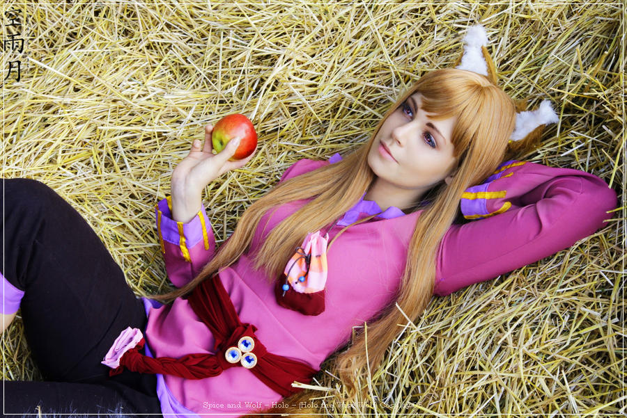 spice and wolf e28093 holo e28093 holo the wise wolf cosplay 05