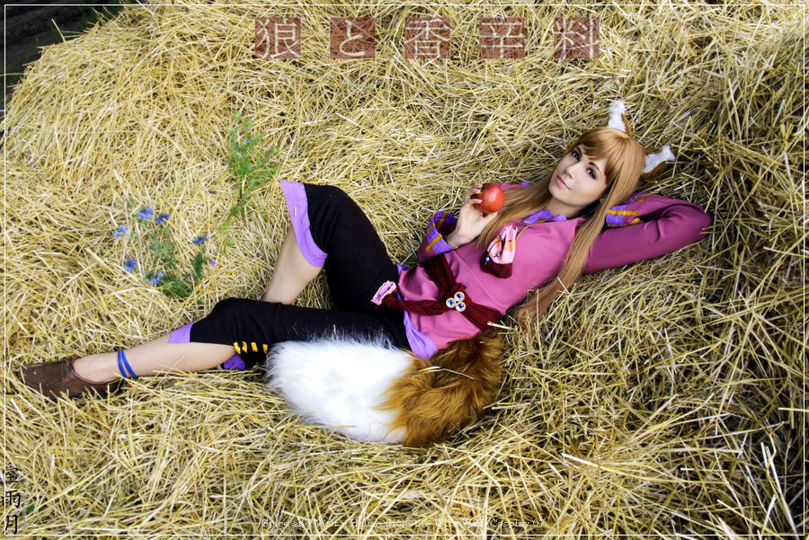 spice and wolf e28093 holo e28093 holo the wise wolf cosplay 07