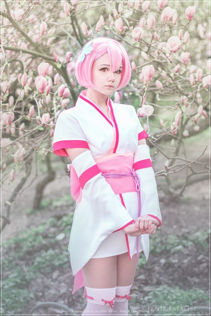 Re Zero &minus; Starting Life in Another World - Rem &amp; Ram Cosplay - anime costume