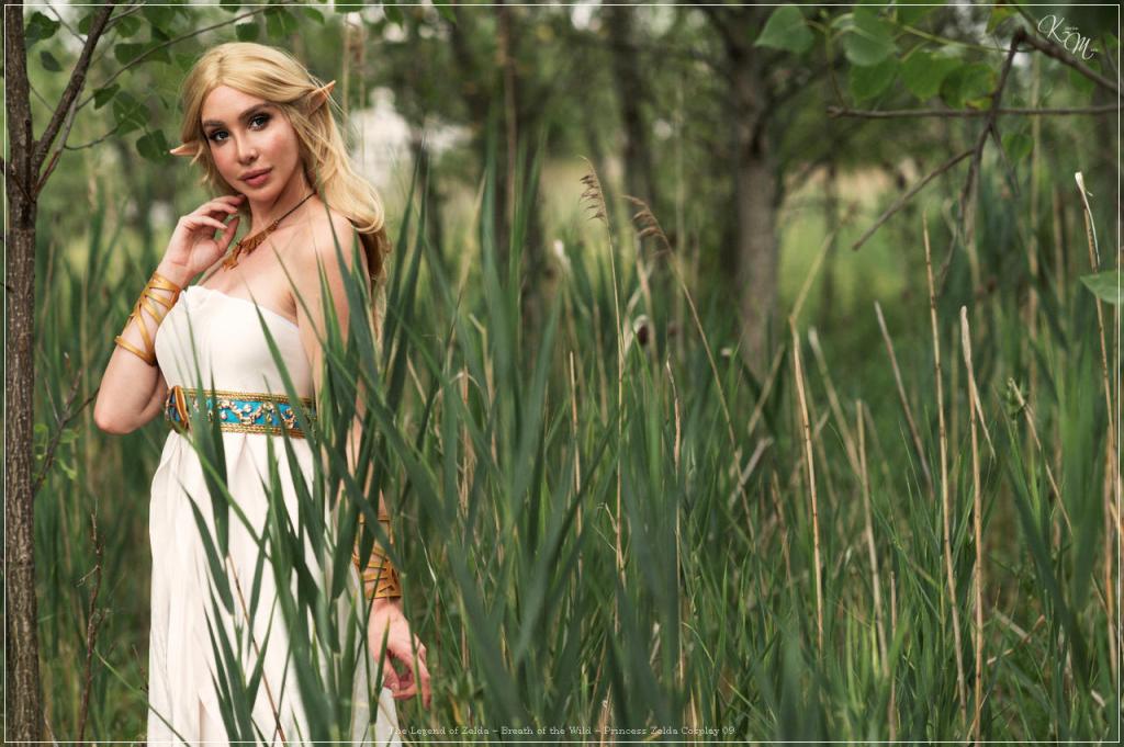 The Legend of Zelda - Breath of the Wild - Princess Zelda Cosplay - soft focus shot