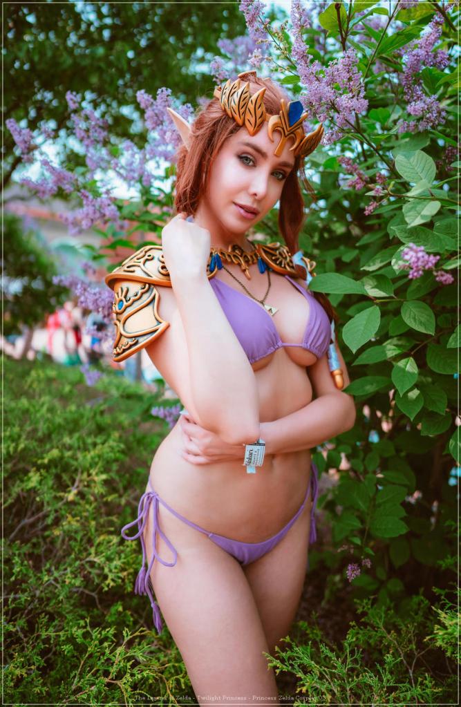 The Legend of Zelda - Twilight Princess - Princess Zelda Cosplay - seductive vision