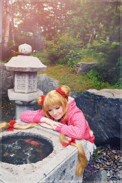 Sailor Moon - Usagi Tsukino (Sailor Moon) (Concept) Cosplay