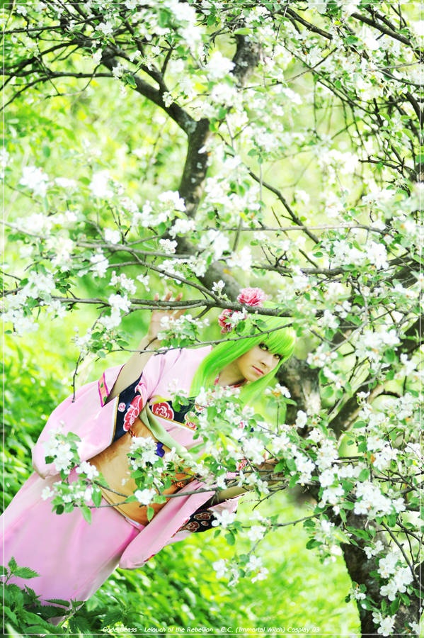 Code Geass - Lelouch of the Rebellion - C.C. (Immortal Witch) Cosplay - anime costume