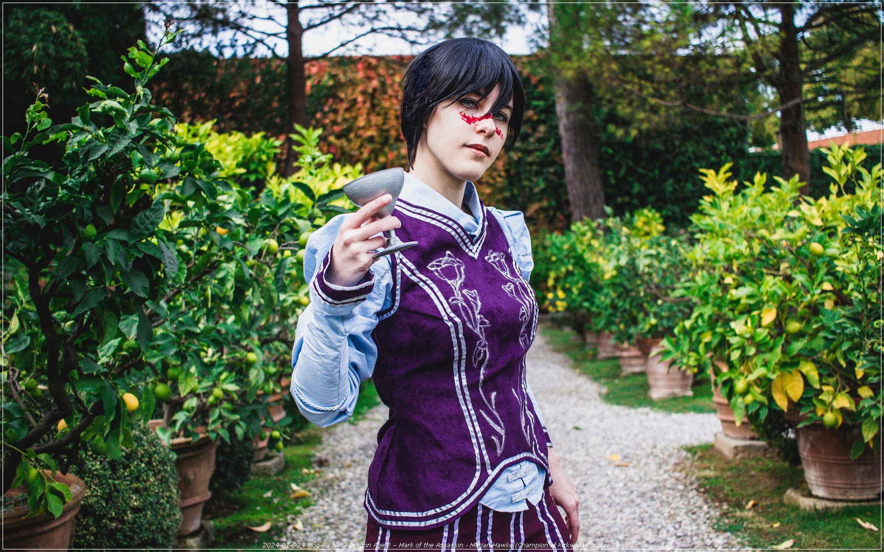 Dragon Age 2 – Mark of the Assassin Marian Hawke Champion of Kirkwall Cosplay 18