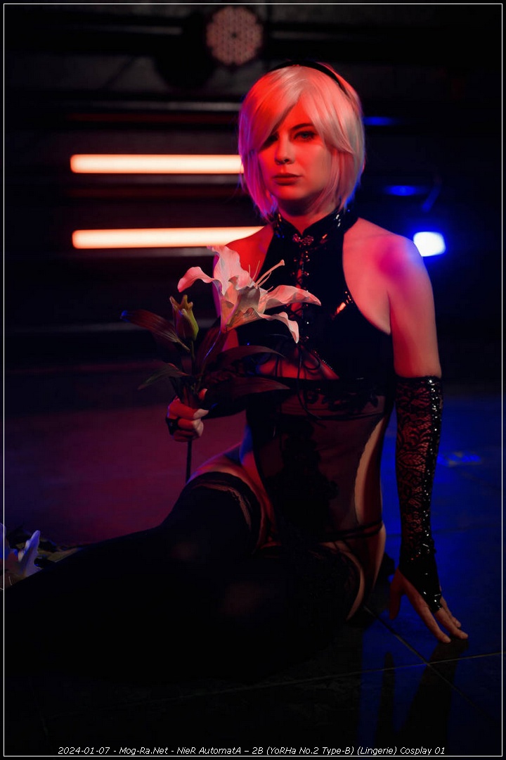 NieR AutomatA - 2B (YoRHa No.2 Type-B) (Lingerie) Cosplay - authentic view NieR AutomatA - 2B (YoRHa No.2 Type-B) (Lingerie) Cosplay - authentic view