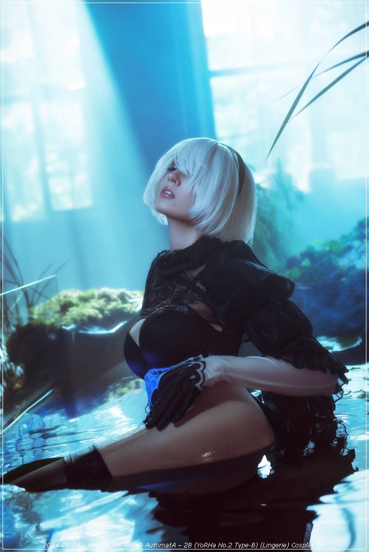 NieR AutomatA - 2B (YoRHa No.2 Type-B) (Lingerie) Cosplay - elegant capture NieR AutomatA - 2B (YoRHa No.2 Type-B) (Lingerie) Cosplay - elegant capture