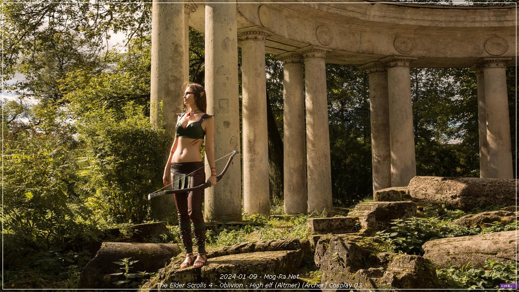 The Elder Scrolls 4 - Oblivion - High elf (Altmer) (Archer) Cosplay - inspired capture