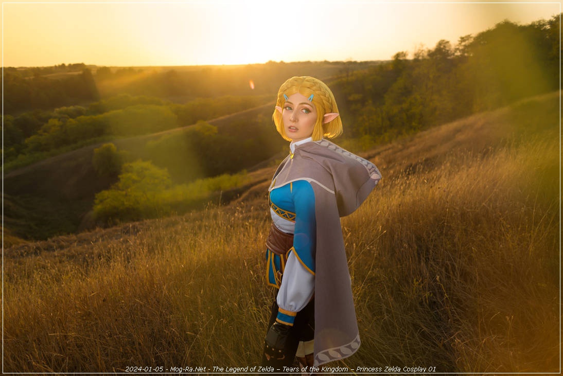 The Legend of Zelda - Tears of the Kingdom - Princess Zelda Cosplay - cosplay study