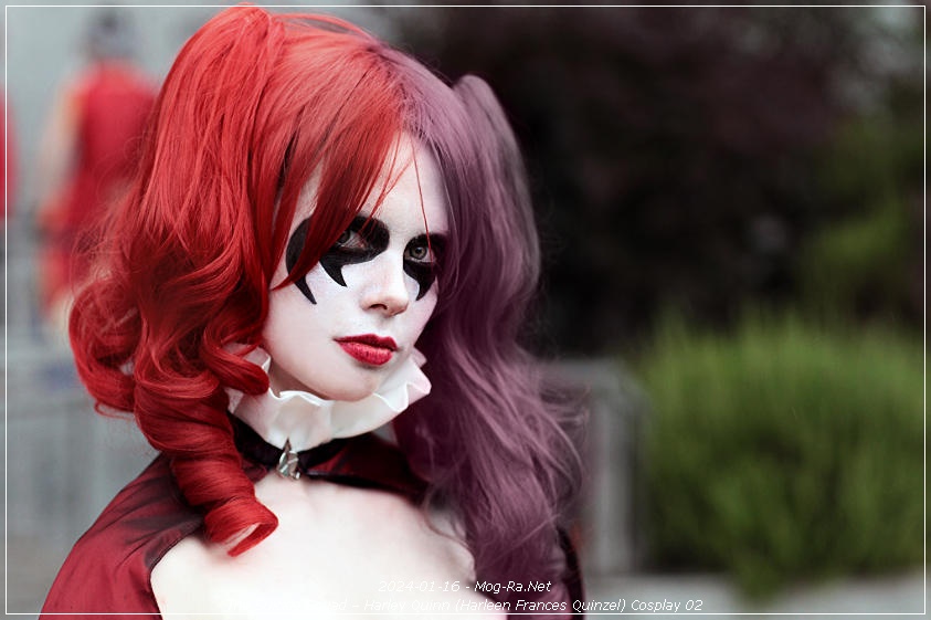 The Suicide Squad - Harley Quinn (Harleen Frances Quinzel) Cosplay - authentic view