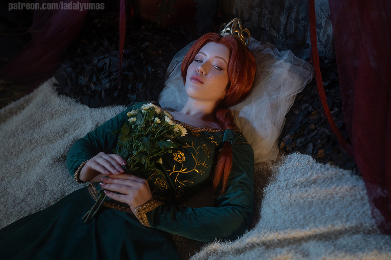 Shrek Fiona The Princess Cosplay 4
