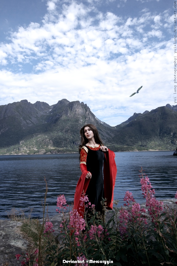 Lord of the Rings Arwen Evenstar Cosplay 6