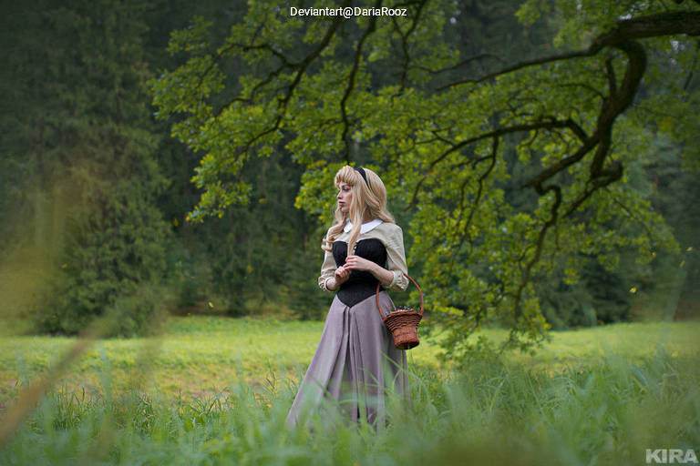 A woman with long blonde hair wearing a historical dress stands in a green field, holding a small basket, with trees in the background.