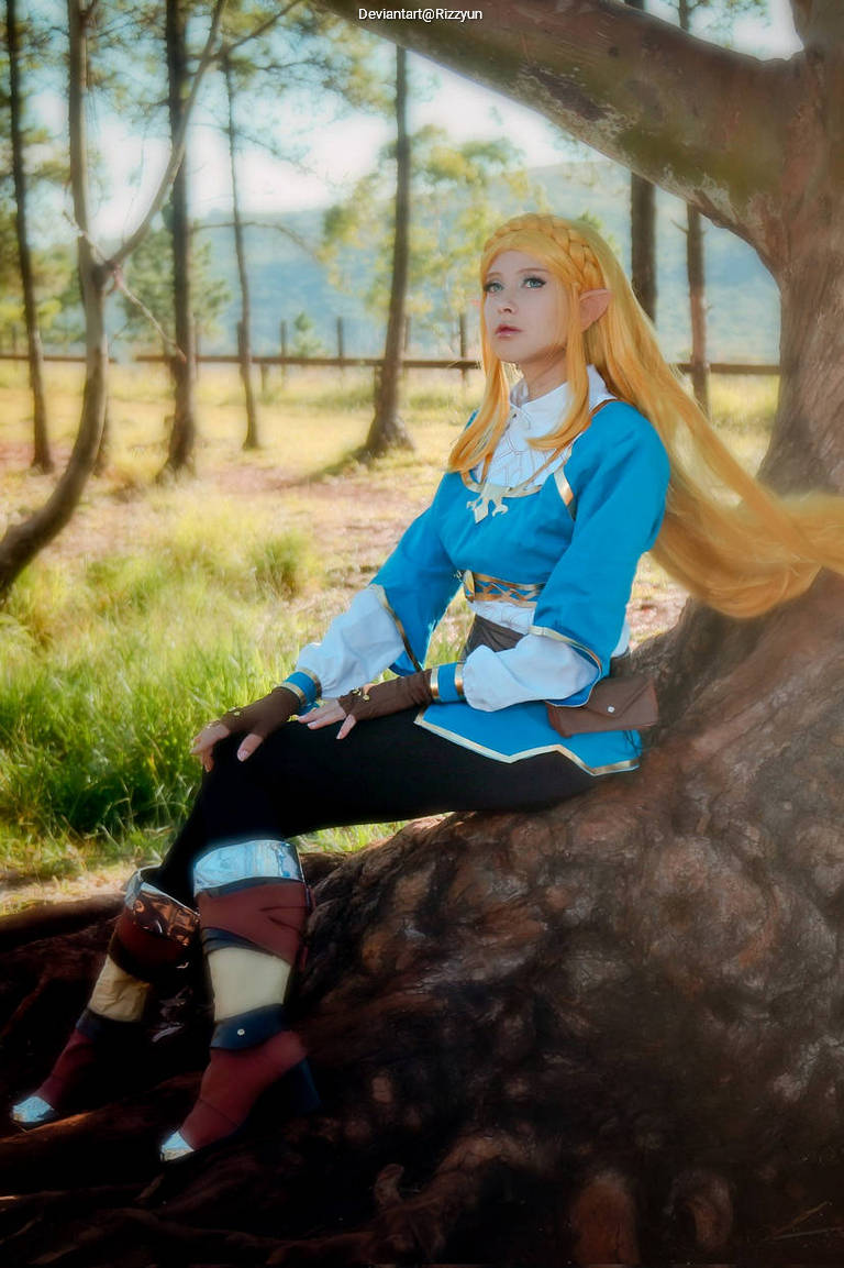 The Legend of Zelda - Breath of the Wild - Princess Zelda Cosplay character costume portrait
