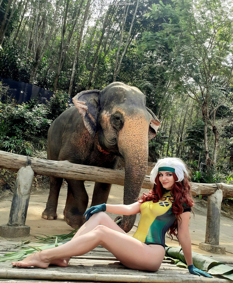 A person in a colorful costume resembling a comic book character poses in front of an elephant in a forested area.