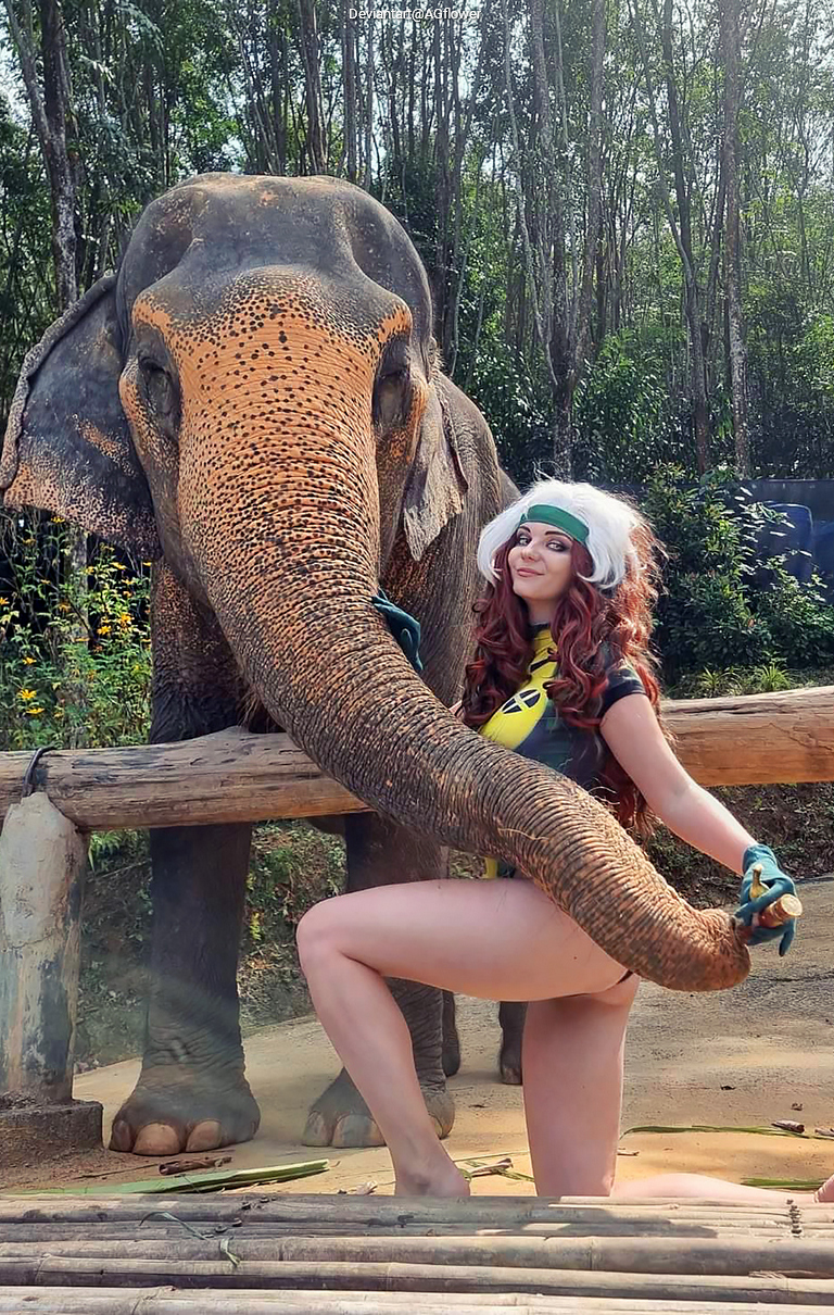 A woman with long hair and a playful expression poses beside an Asian elephant, playfully interacting with its trunk in a natural setting.