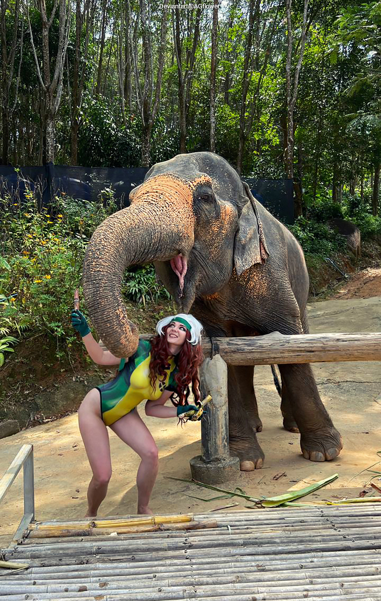 A person in a colorful costume poses playfully with an elephant in a natural setting.