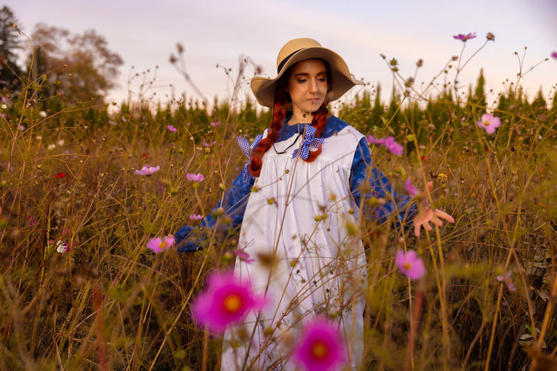 Anne Shirley Anne Shirley Cosplay