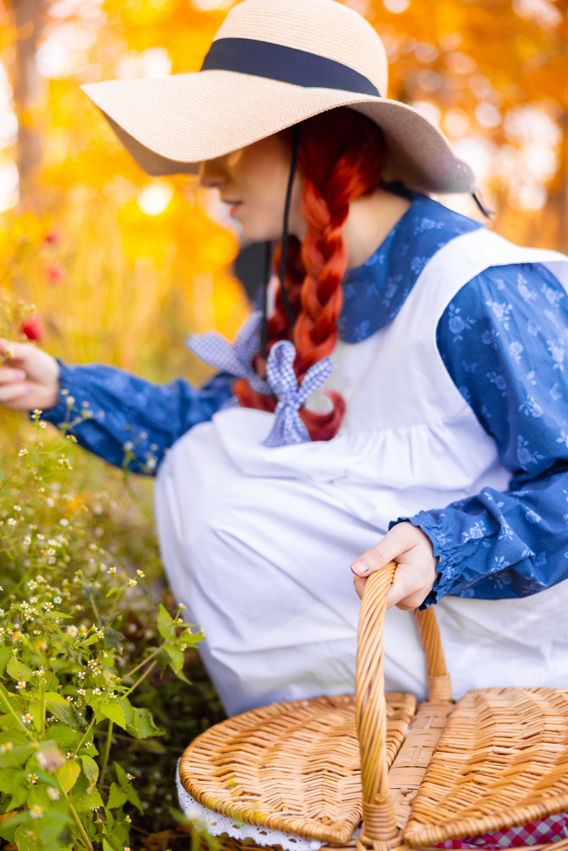 Anne Shirley Anne Shirley Cosplay 10