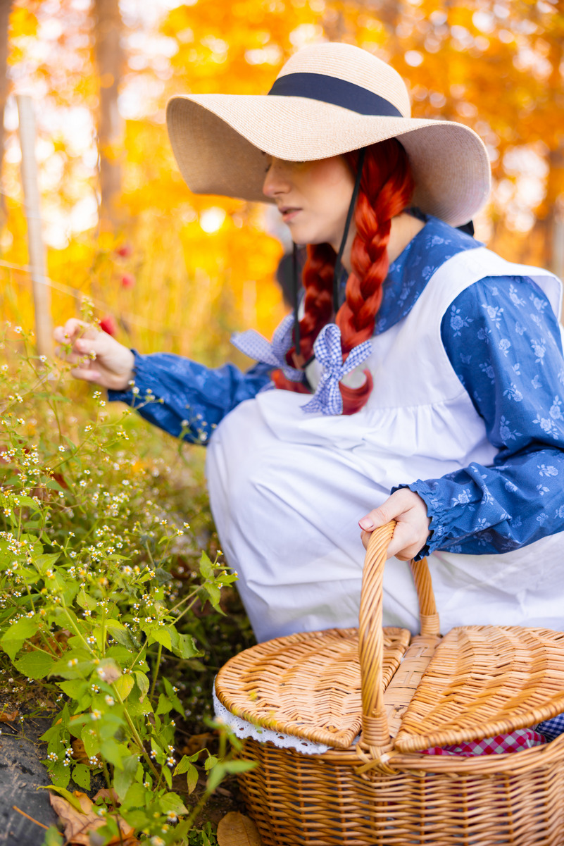 Anne Shirley Anne Shirley Cosplay 11