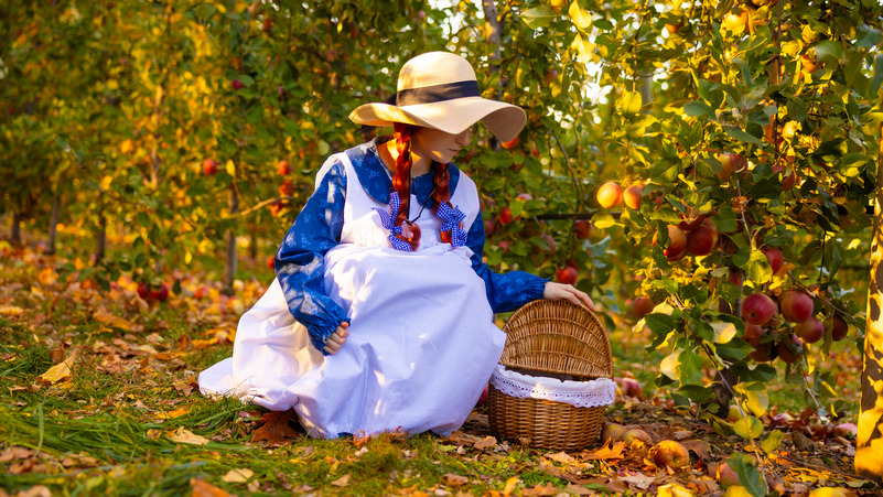 Anne Shirley Anne Shirley Cosplay 16