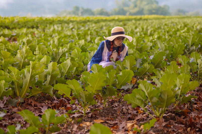 Anne Shirley Anne Shirley Cosplay 18