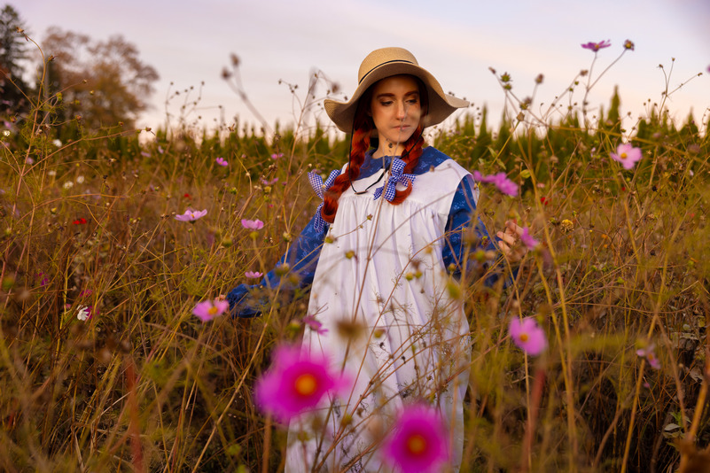 Anne Shirley Anne Shirley Cosplay 2