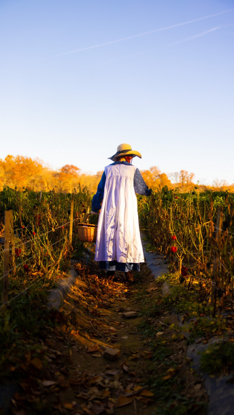 Anne Shirley Anne Shirley Cosplay 7