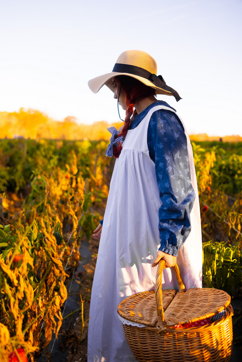 Anne Shirley Anne Shirley Cosplay 8