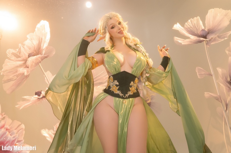 Elf Original Vision Cosplay anime character costume photo