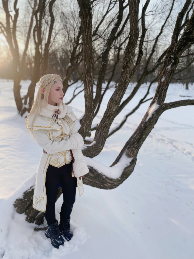 The Legend of Zelda Breath of the Wild Princess Zelda (Winter) Cosplay