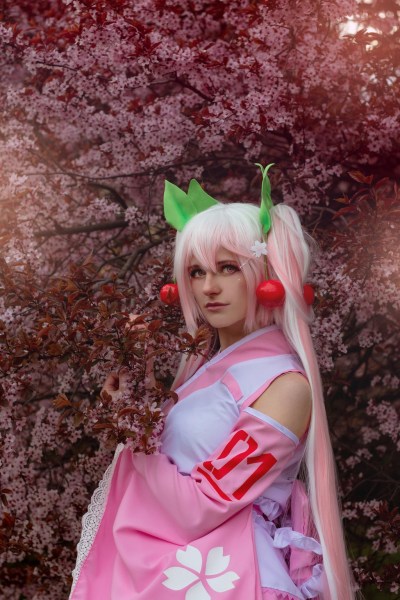 Vocaloid - Sakura Miku Cosplay