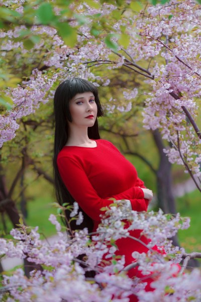 Sailor Moon - Rei Hino (Sailor Mars) Cosplay