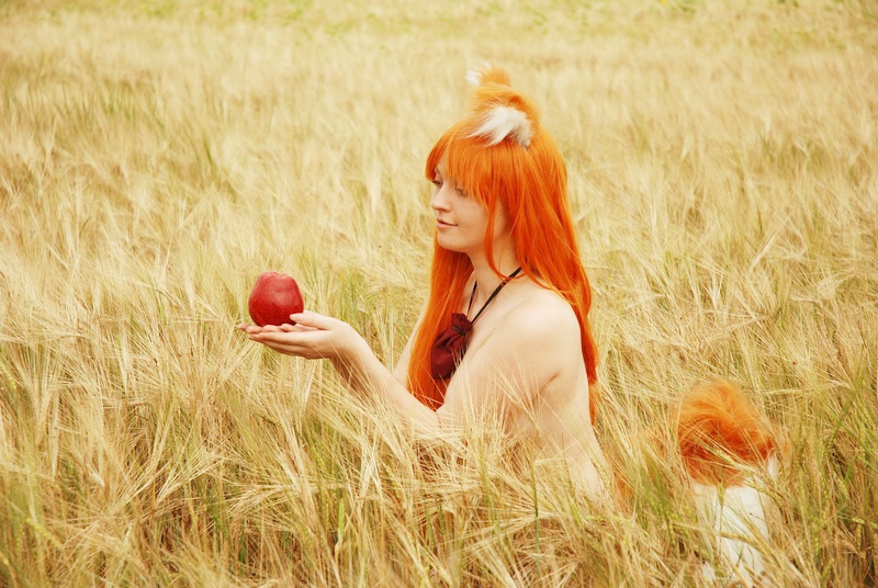 Spice and Wolf - Holo (Holo the Wise Wolf) (Erotic) Cosplay - MilenaHime #02 - seductive vision Spice and Wolf - Holo (Holo the Wise Wolf) (Erotic) Cosplay - MilenaHime #02 - seductive vision