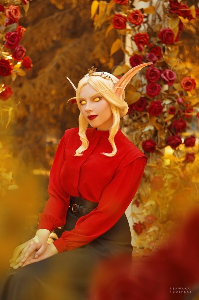 World of Warcraft - The Burning Crusade - Blood Elf Cosplay